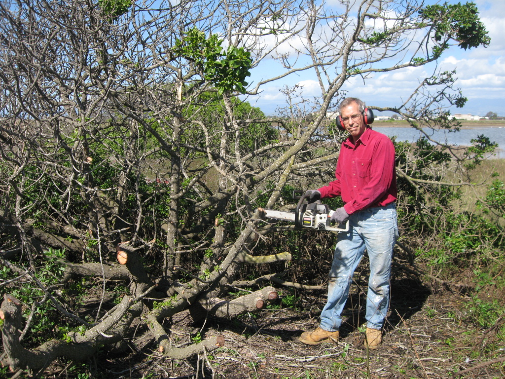 IMG_3013 Tom Chainsaw bush marsh