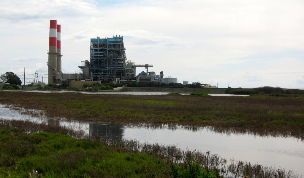 Wetland west of generating station