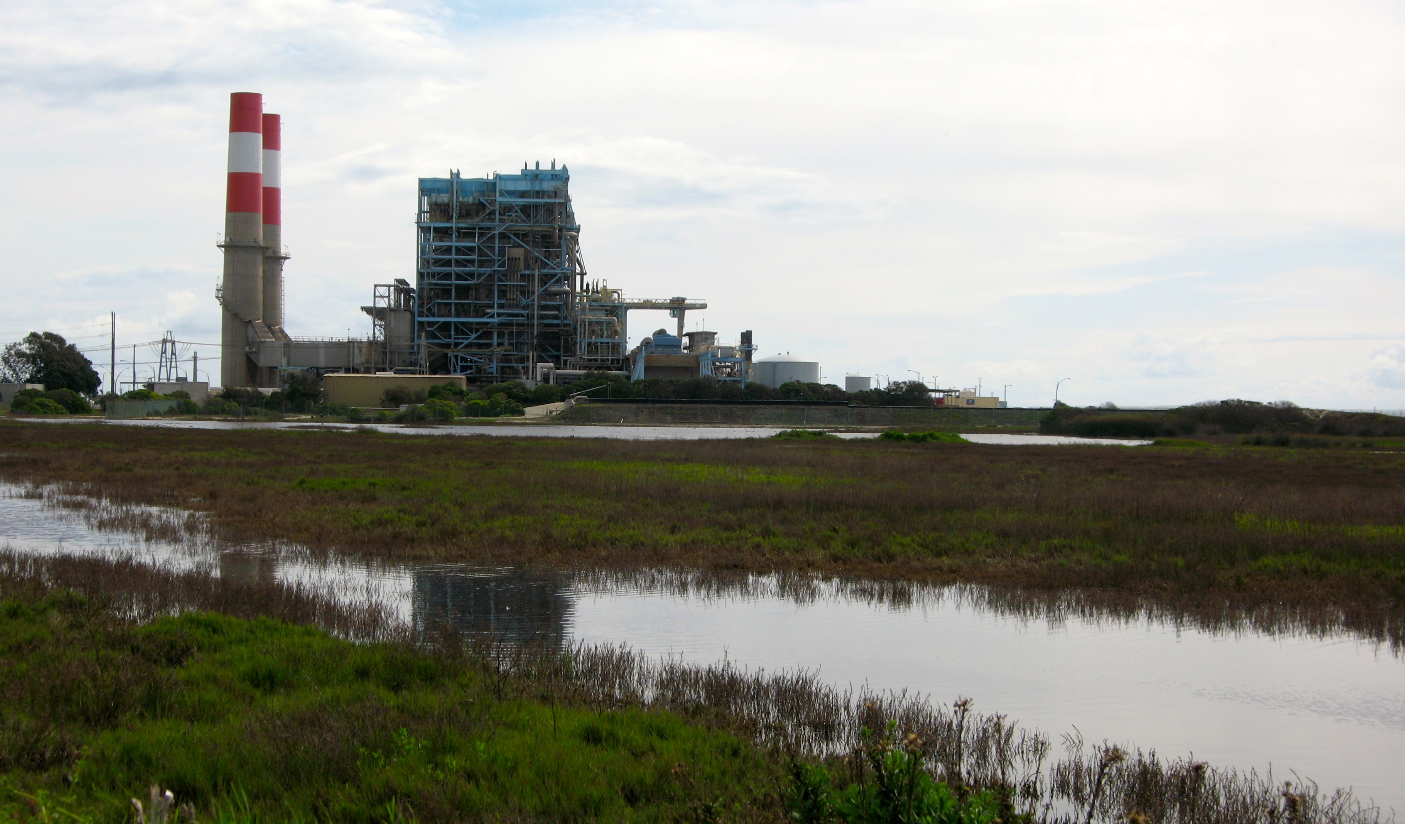 Plankton Station