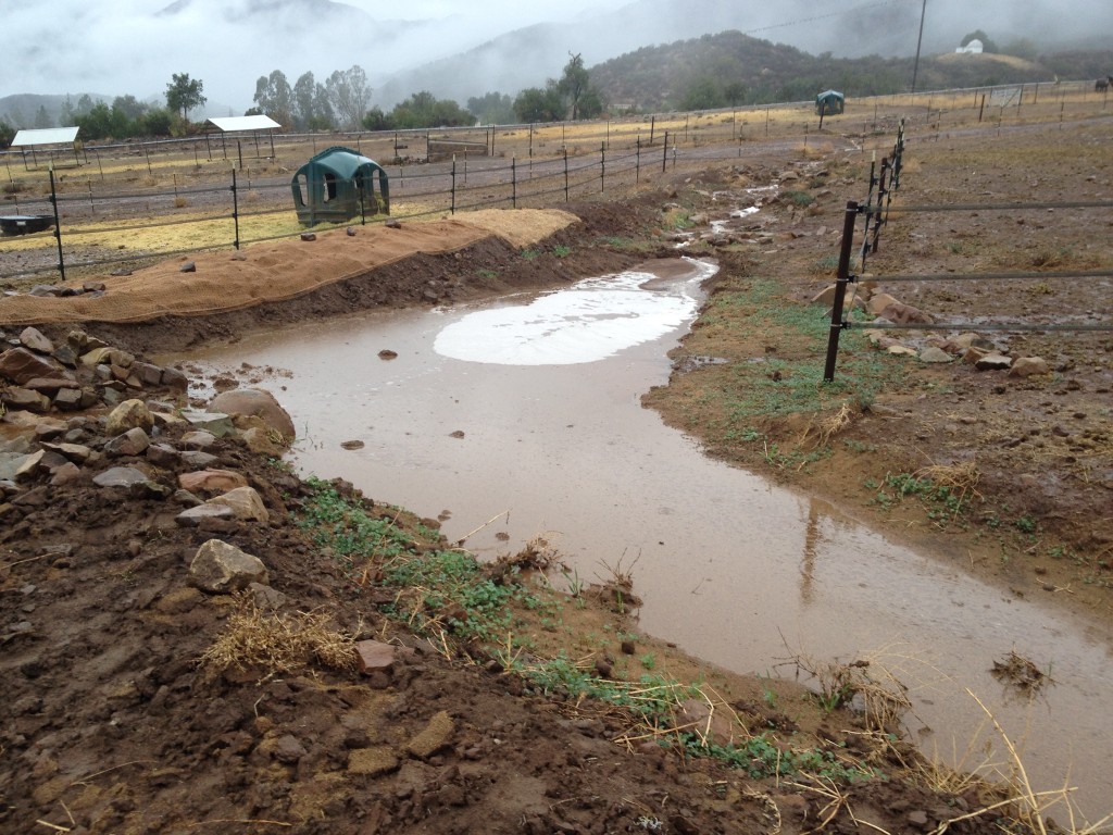 Swale filled with storm runoff